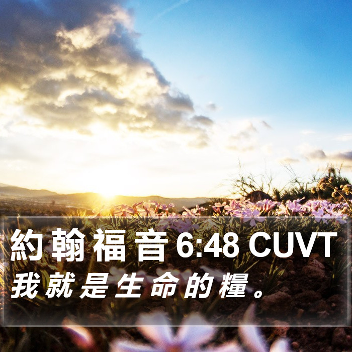 約 翰 福 音 6:48 CUVT Bible Study