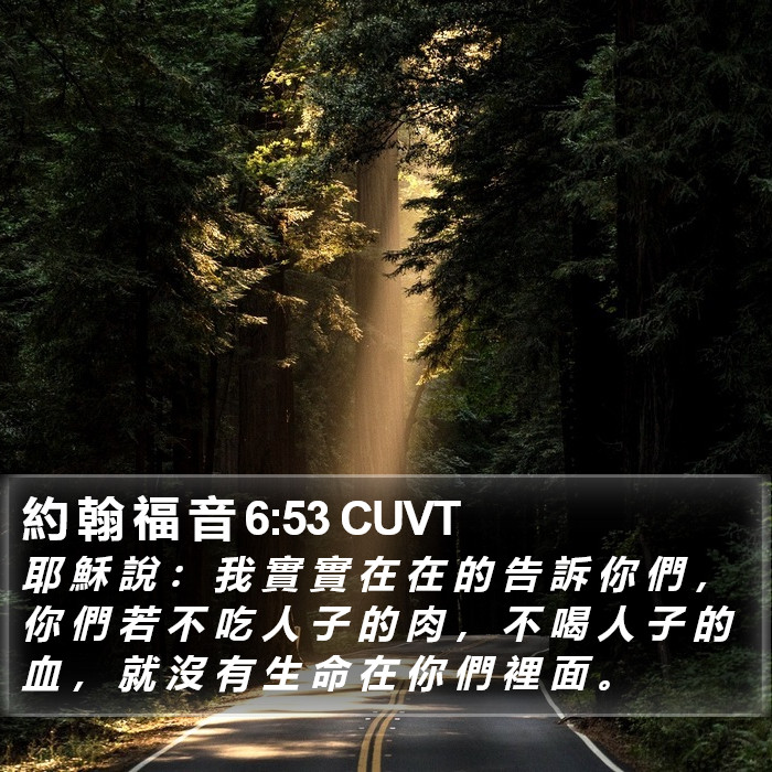 約 翰 福 音 6:53 CUVT Bible Study