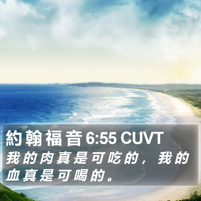 約 翰 福 音 6:55 CUVT Bible Study