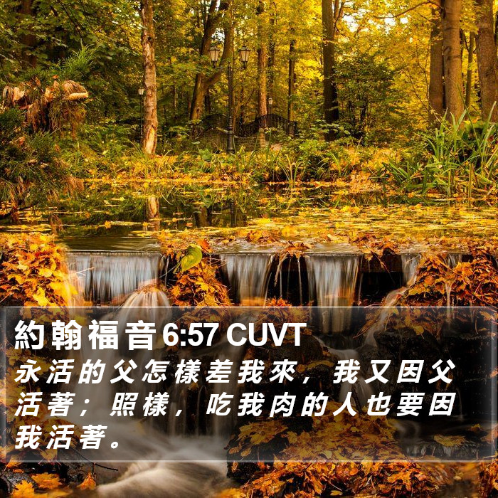 約 翰 福 音 6:57 CUVT Bible Study