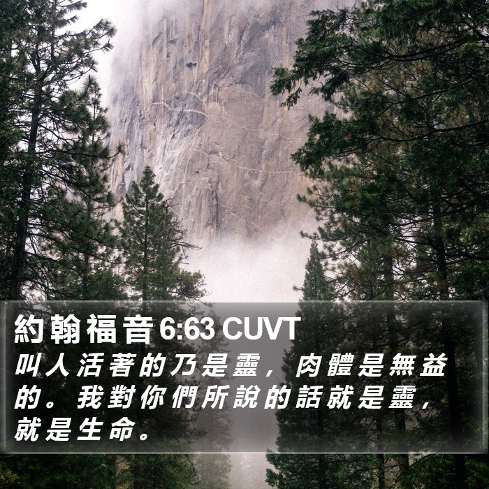 約 翰 福 音 6:63 CUVT Bible Study