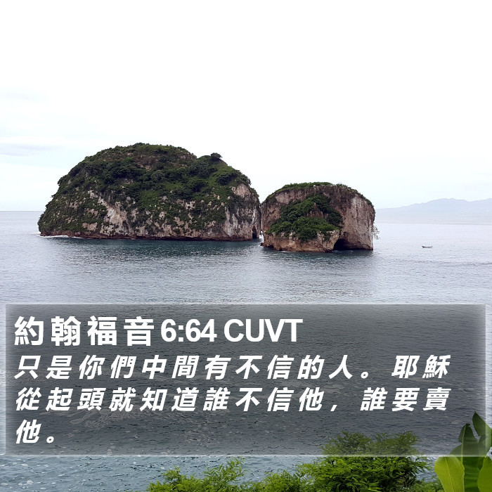 約 翰 福 音 6:64 CUVT Bible Study
