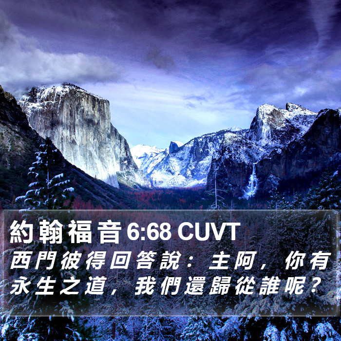 約 翰 福 音 6:68 CUVT Bible Study