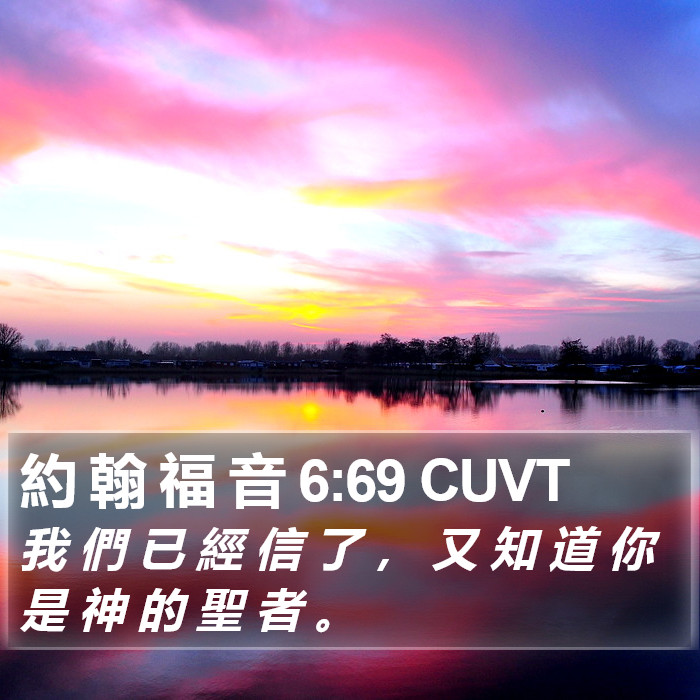 約 翰 福 音 6:69 CUVT Bible Study