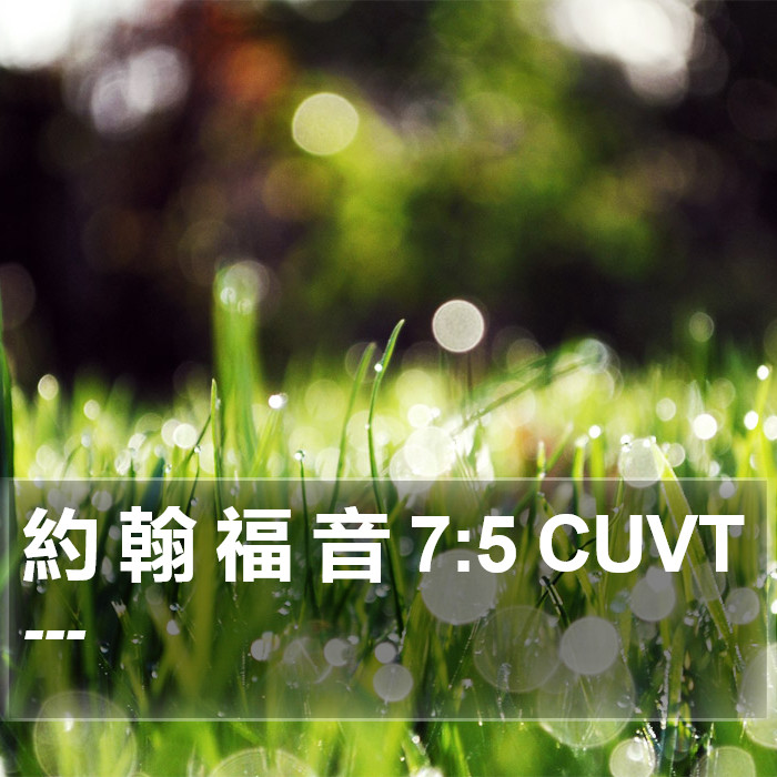 約 翰 福 音 7:5 CUVT Bible Study