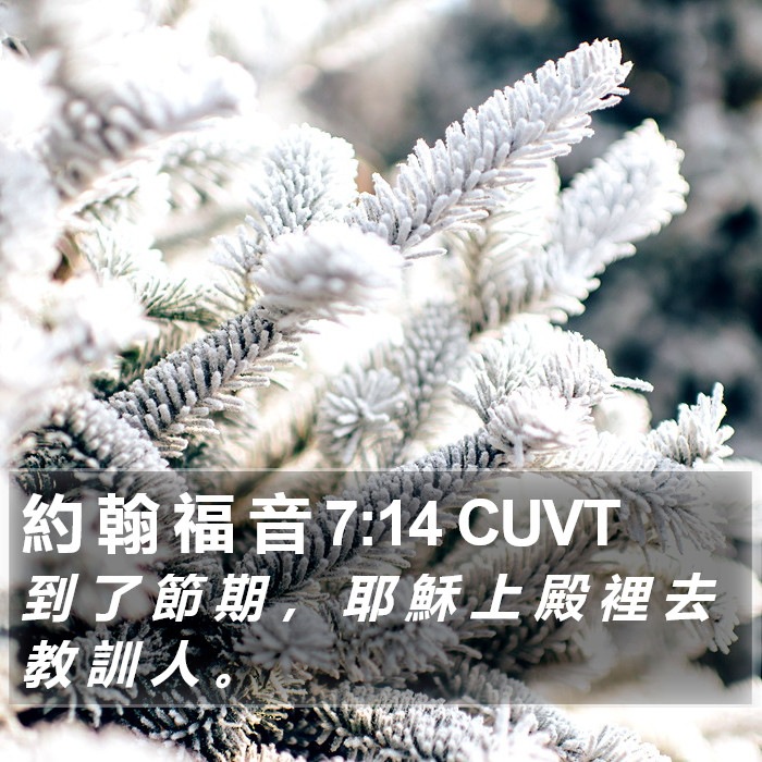 約 翰 福 音 7:14 CUVT Bible Study