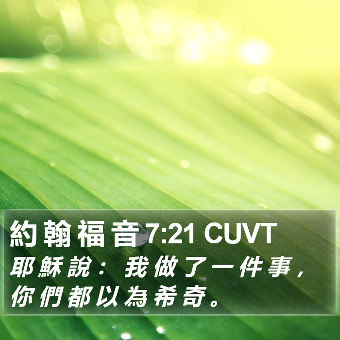 約 翰 福 音 7:21 CUVT Bible Study