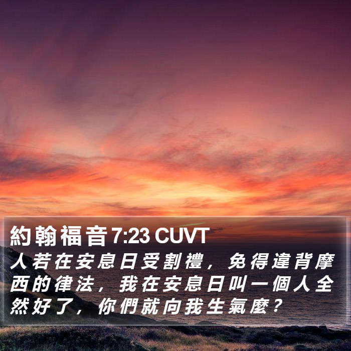 約 翰 福 音 7:23 CUVT Bible Study