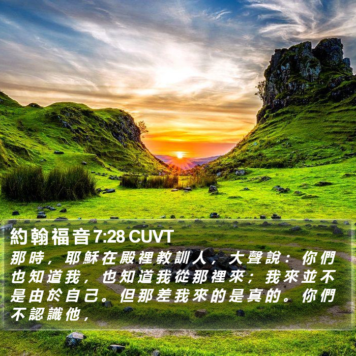 約 翰 福 音 7:28 CUVT Bible Study