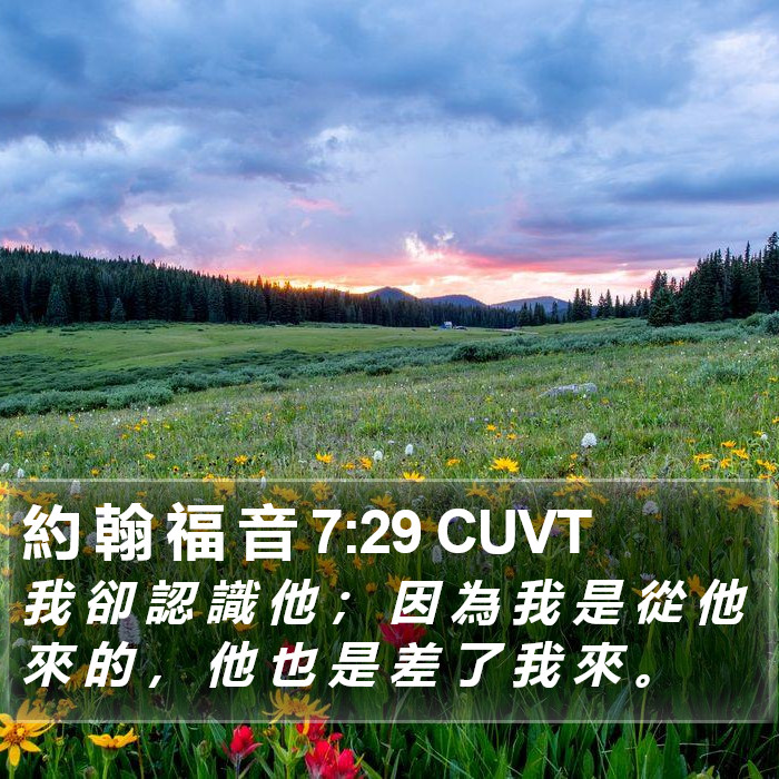 約 翰 福 音 7:29 CUVT Bible Study