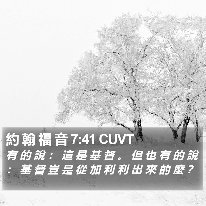 約 翰 福 音 7:41 CUVT Bible Study