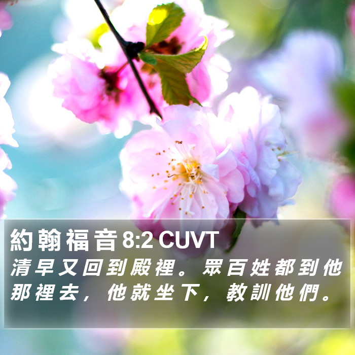 約 翰 福 音 8:2 CUVT Bible Study