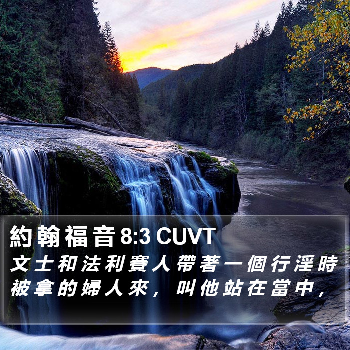 約 翰 福 音 8:3 CUVT Bible Study