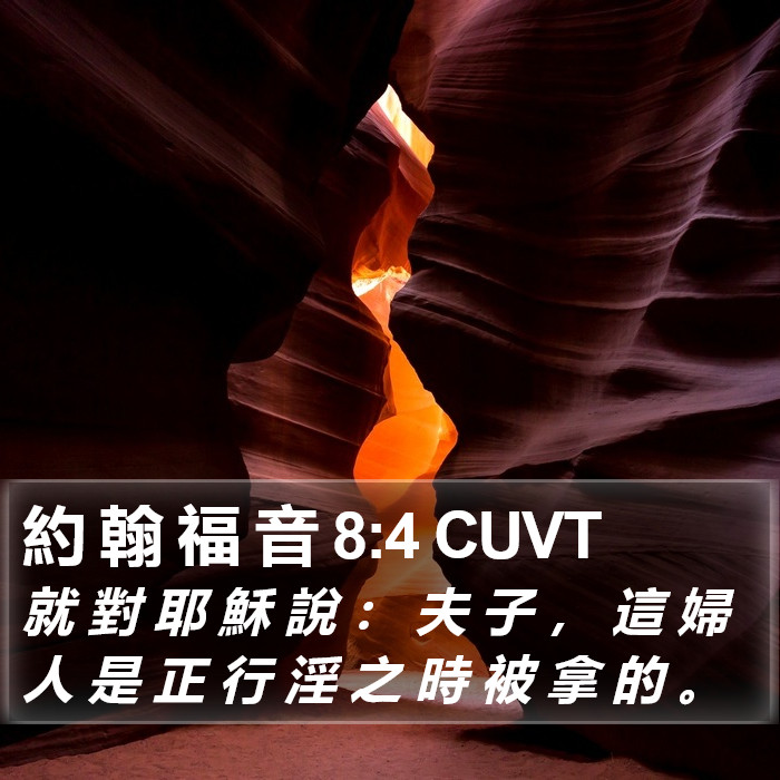 約 翰 福 音 8:4 CUVT Bible Study