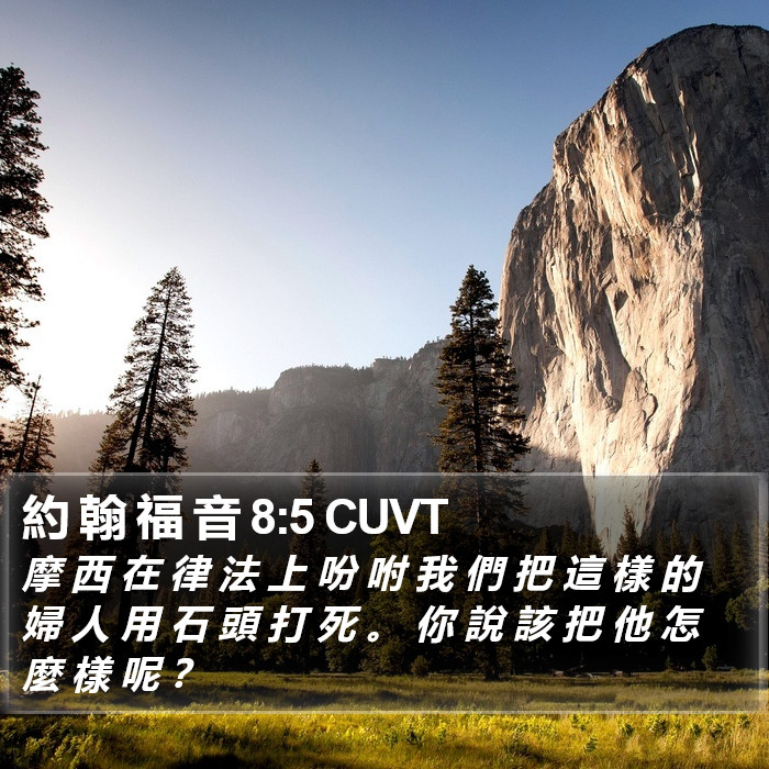 約 翰 福 音 8:5 CUVT Bible Study