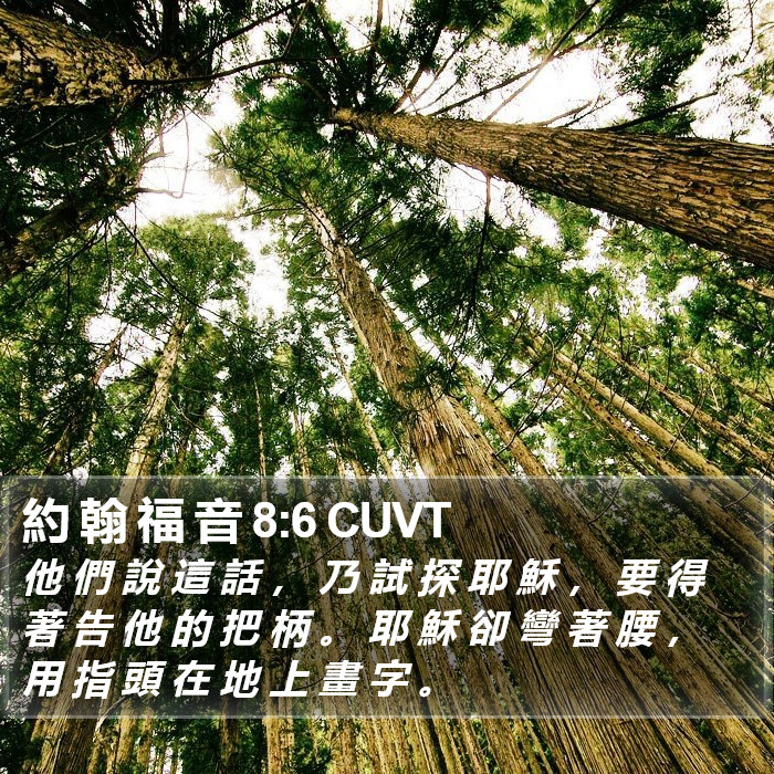 約 翰 福 音 8:6 CUVT Bible Study