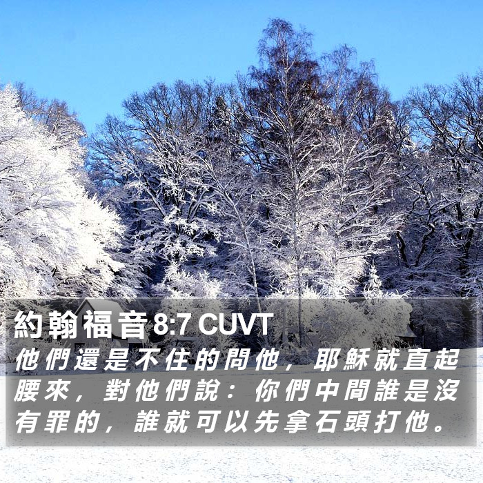 約 翰 福 音 8:7 CUVT Bible Study