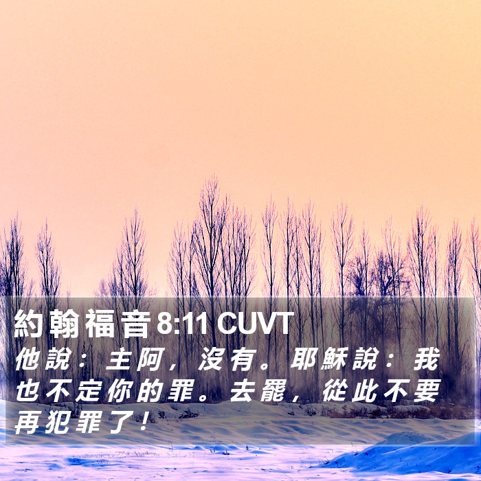 約 翰 福 音 8:11 CUVT Bible Study