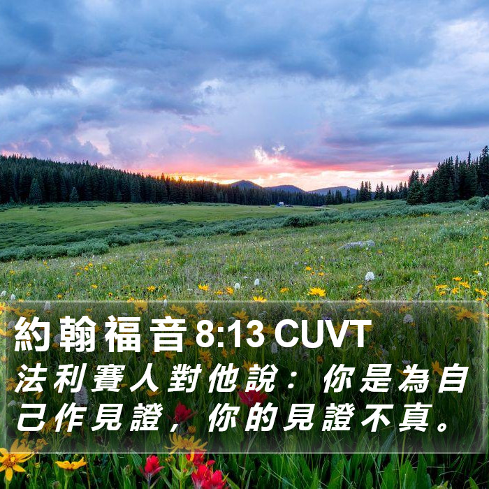 約 翰 福 音 8:13 CUVT Bible Study