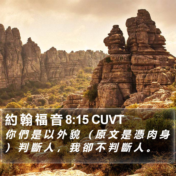 約 翰 福 音 8:15 CUVT Bible Study