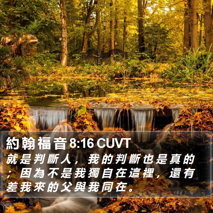 約 翰 福 音 8:16 CUVT Bible Study