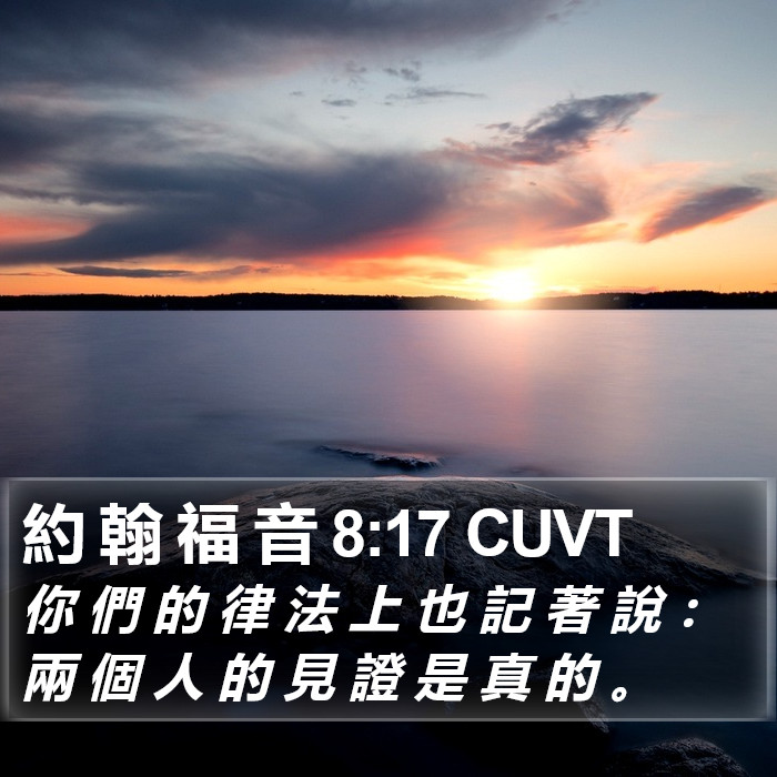 約 翰 福 音 8:17 CUVT Bible Study