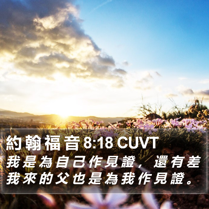 約 翰 福 音 8:18 CUVT Bible Study