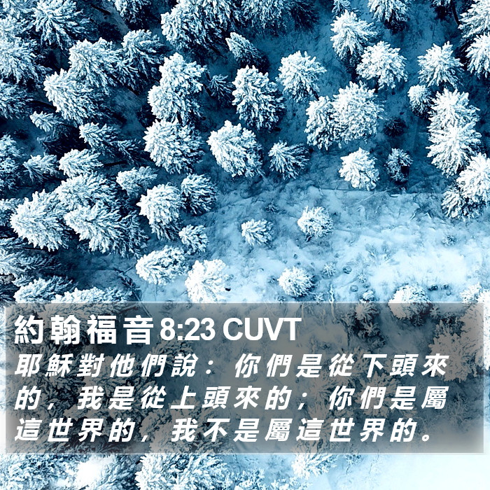 約 翰 福 音 8:23 CUVT Bible Study