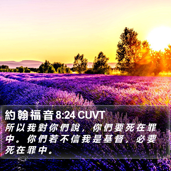 約 翰 福 音 8:24 CUVT Bible Study