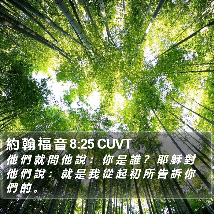 約 翰 福 音 8:25 CUVT Bible Study