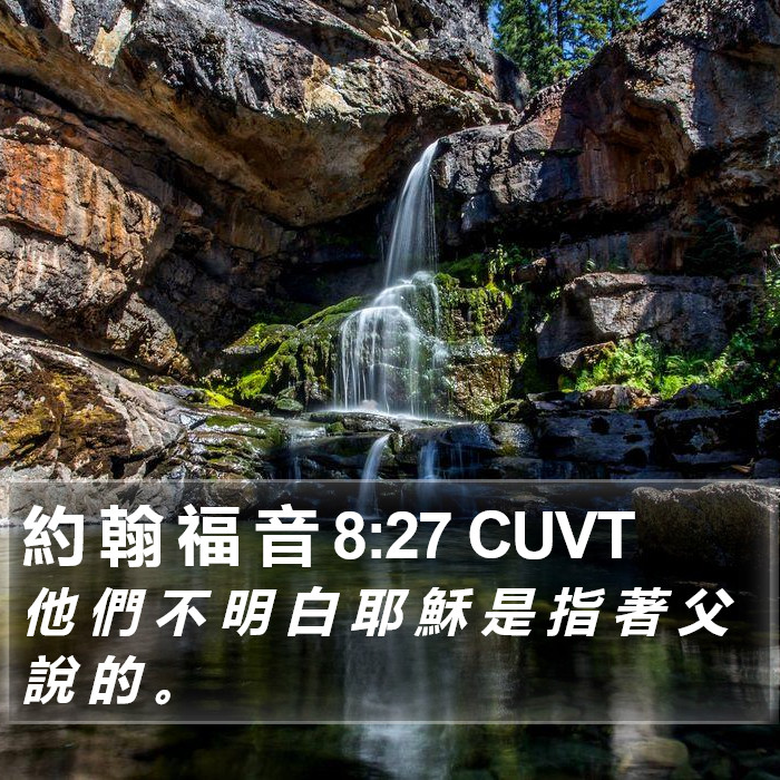 約 翰 福 音 8:27 CUVT Bible Study