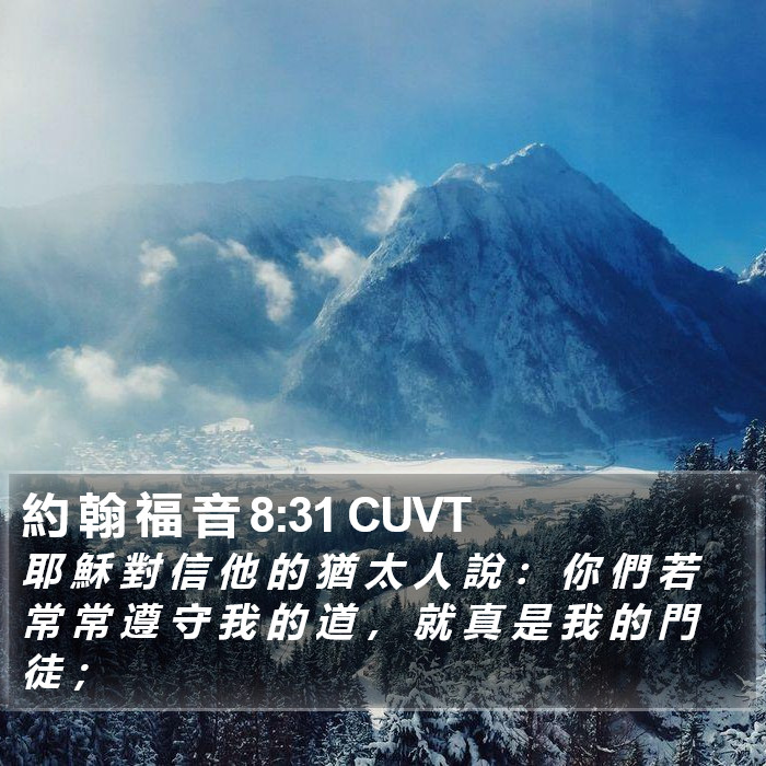 約 翰 福 音 8:31 CUVT Bible Study