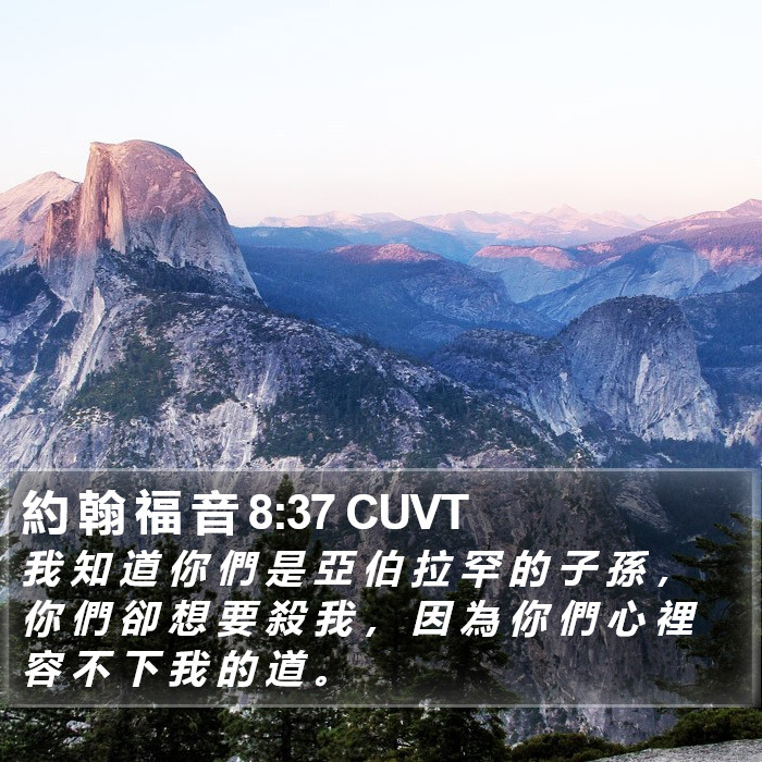 約 翰 福 音 8:37 CUVT Bible Study