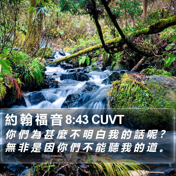 約 翰 福 音 8:43 CUVT Bible Study