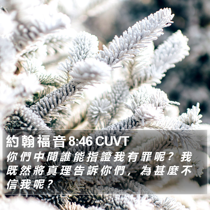 約 翰 福 音 8:46 CUVT Bible Study