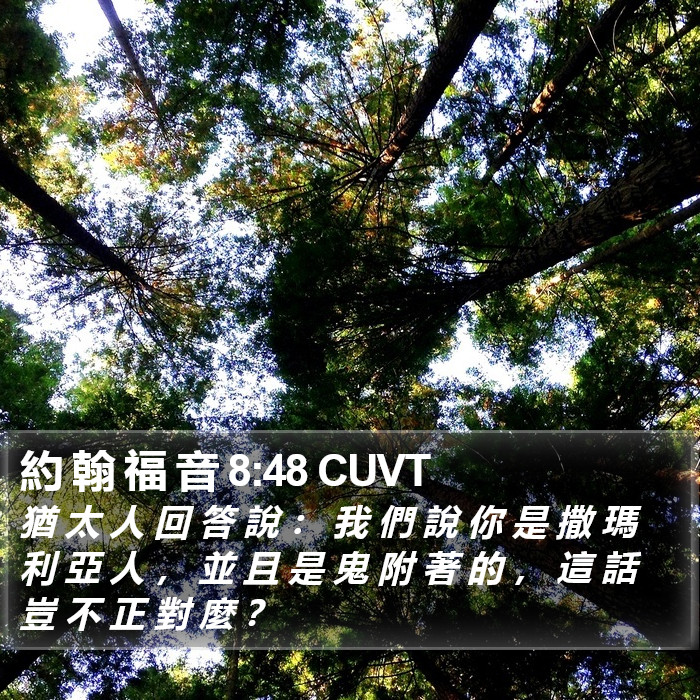 約 翰 福 音 8:48 CUVT Bible Study