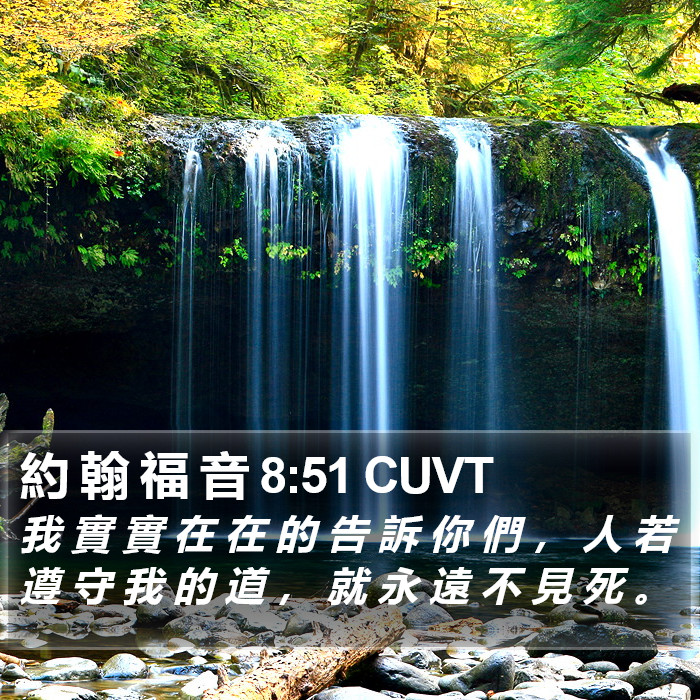 約 翰 福 音 8:51 CUVT Bible Study