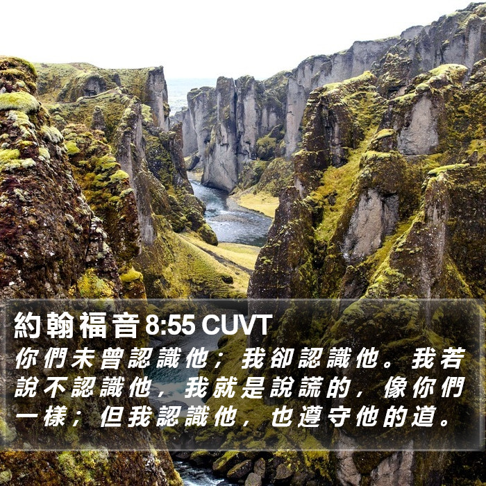 約 翰 福 音 8:55 CUVT Bible Study