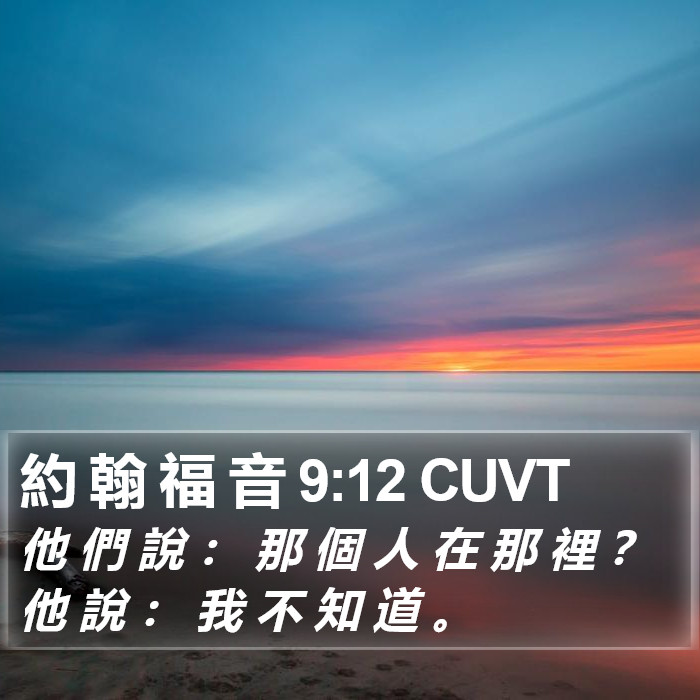 約 翰 福 音 9:12 CUVT Bible Study