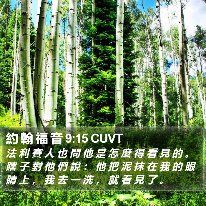 約 翰 福 音 9:15 CUVT Bible Study