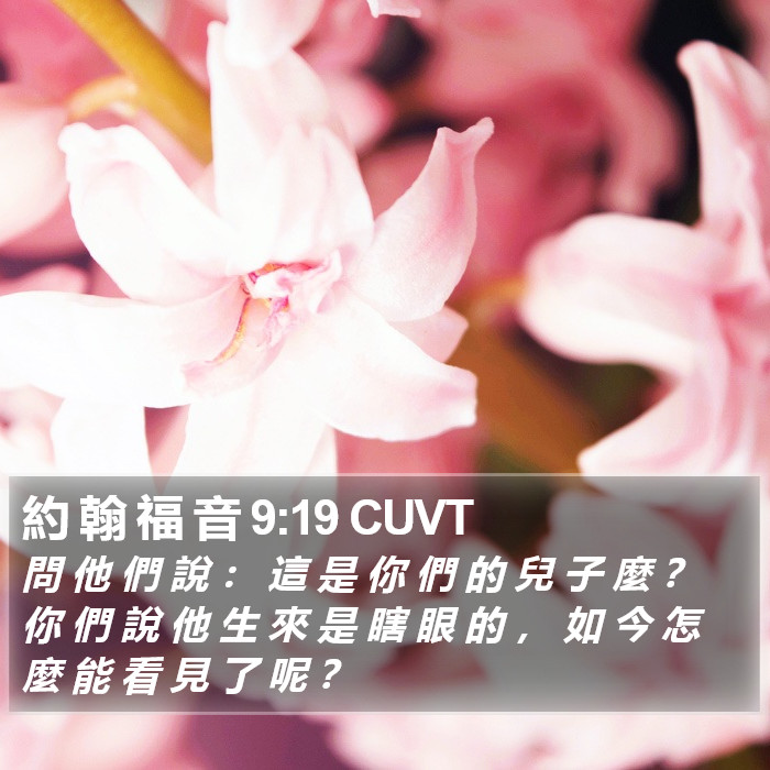 約 翰 福 音 9:19 CUVT Bible Study
