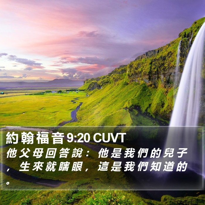 約 翰 福 音 9:20 CUVT Bible Study
