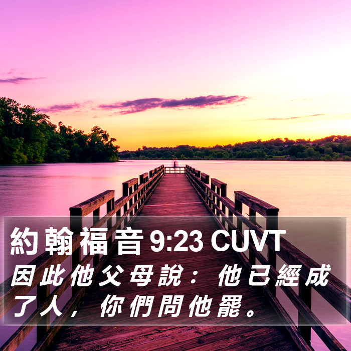 約 翰 福 音 9:23 CUVT Bible Study