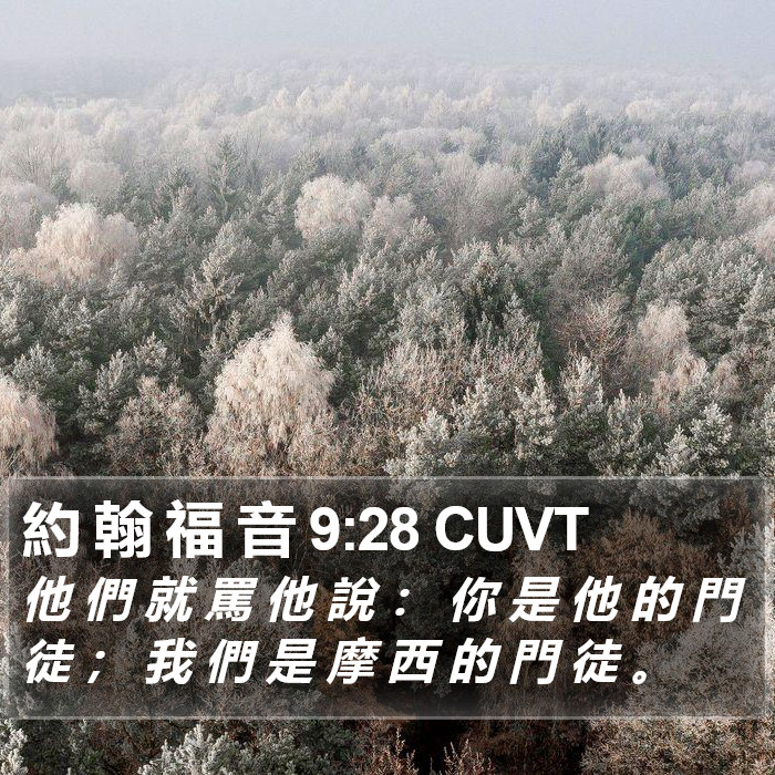 約 翰 福 音 9:28 CUVT Bible Study