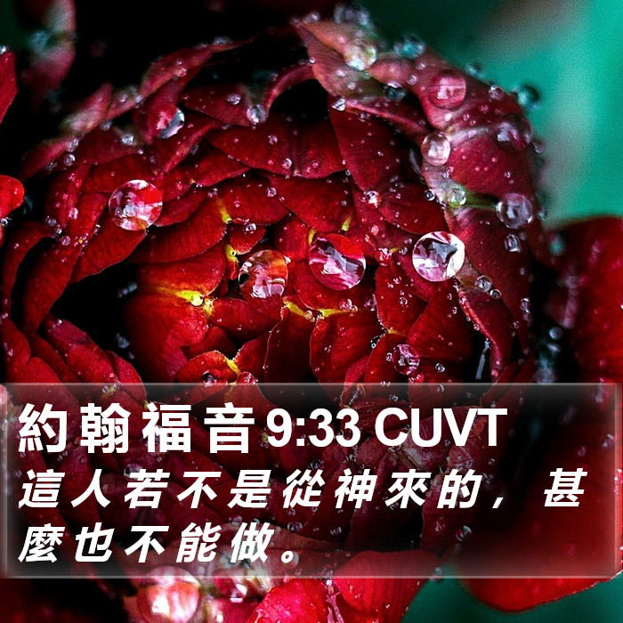 約 翰 福 音 9:33 CUVT Bible Study