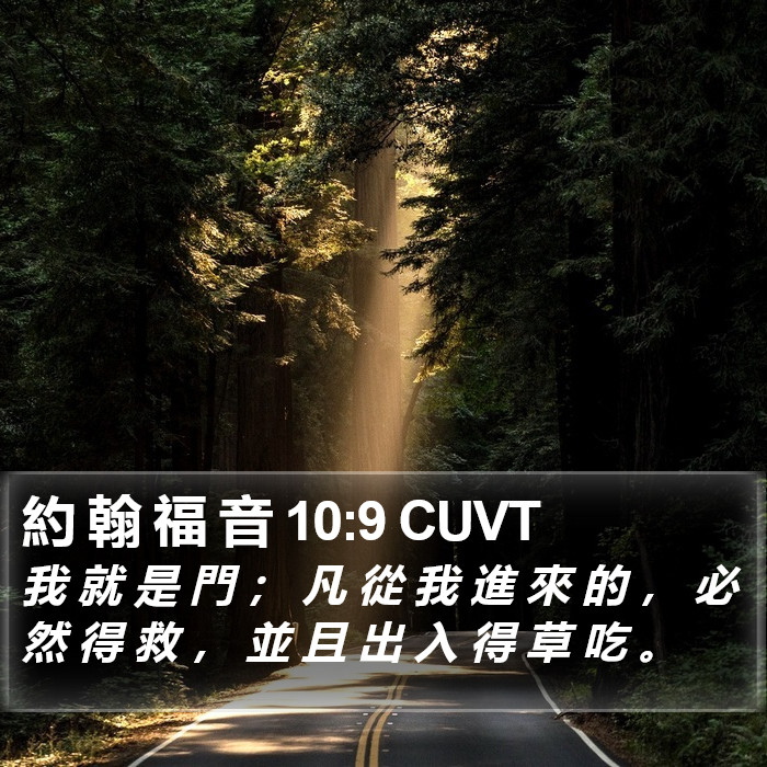 約 翰 福 音 10:9 CUVT Bible Study