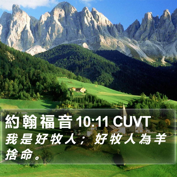 約 翰 福 音 10:11 CUVT Bible Study