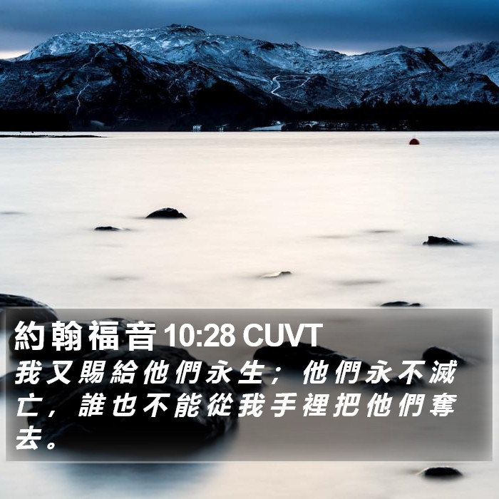 約 翰 福 音 10:28 CUVT Bible Study
