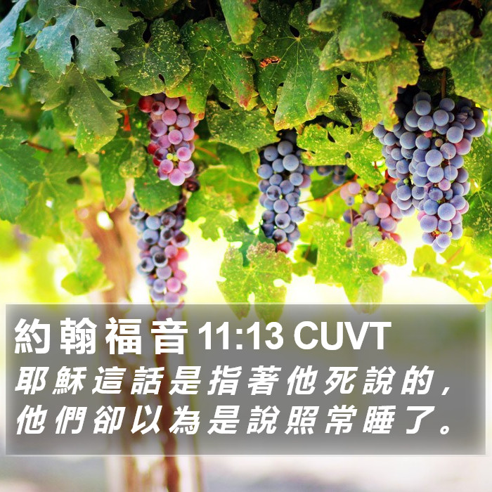 約 翰 福 音 11:13 CUVT Bible Study