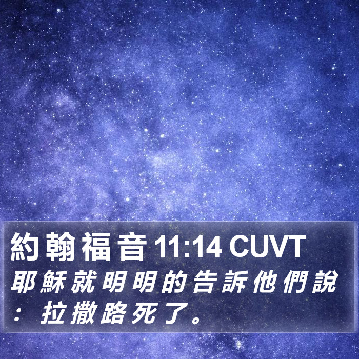約 翰 福 音 11:14 CUVT Bible Study